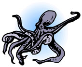 octopus image, a sailor's dream.